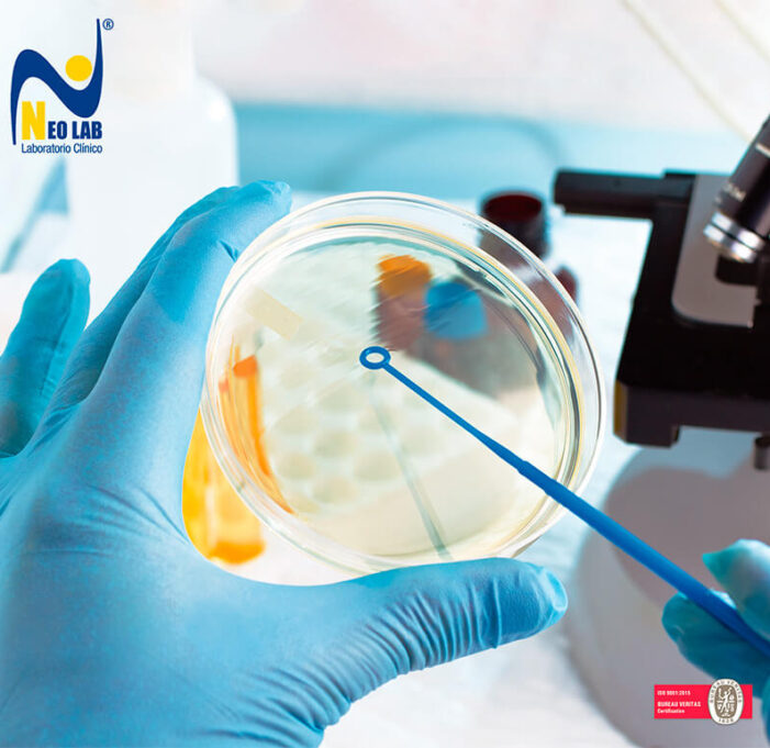 neolab-servicios-banner-2 neolab-servicios-banner-2